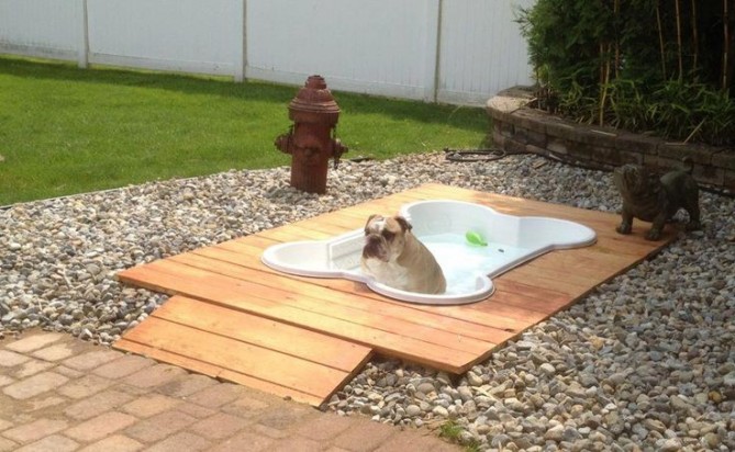 64bfc0941d8aef0df96e5b85e7101872-669x412