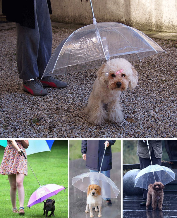 inventions-for-dog-lovers-10