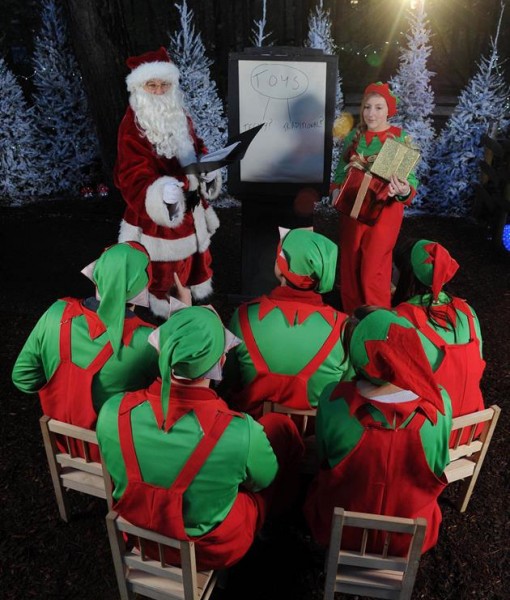 displaymedia-510x600