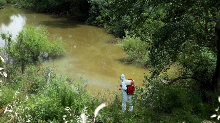 Ψεκασμοί τον Μάρτιο στην Αττική για τον ιό Ζίκα