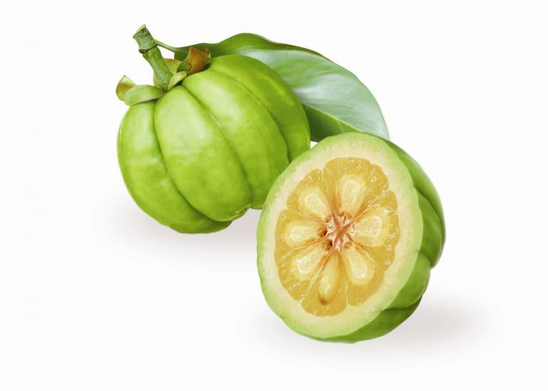 Garcinia Cambogia: Η Φυσική Λύση στο Αδυνάτισμα