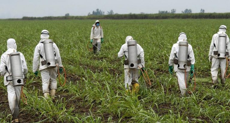 «Είμαστε όλοι (διατροφικά) πειραματόζωα»