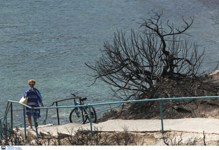 Η ζωή συνεχίζεται στα καμένα- Λουόμενοι κάνουν το μπάνιο τους στο λιμανάκι της Ραφήνας [εικόνες]