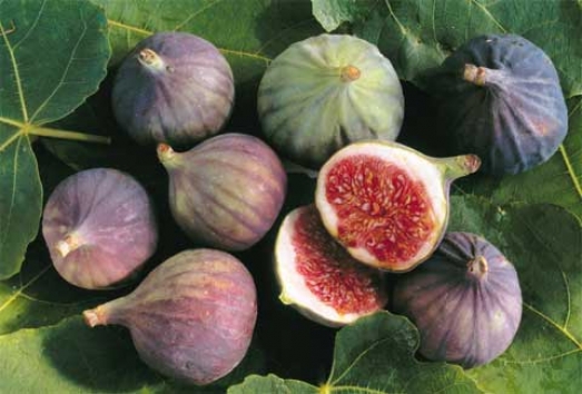 dcu7nvrwn61svnnxdz0mgoxly