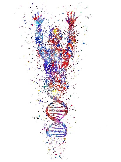 Έρχεται το NutriFit αποκλειστικά στα Alpha Prolipsis