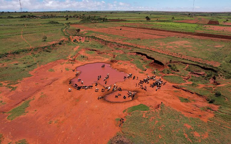 Νεκρά 1,5 εκατομμύρια ζώα άφησε πίσω της η ξηρασία στο Κέρας της Αφρικής