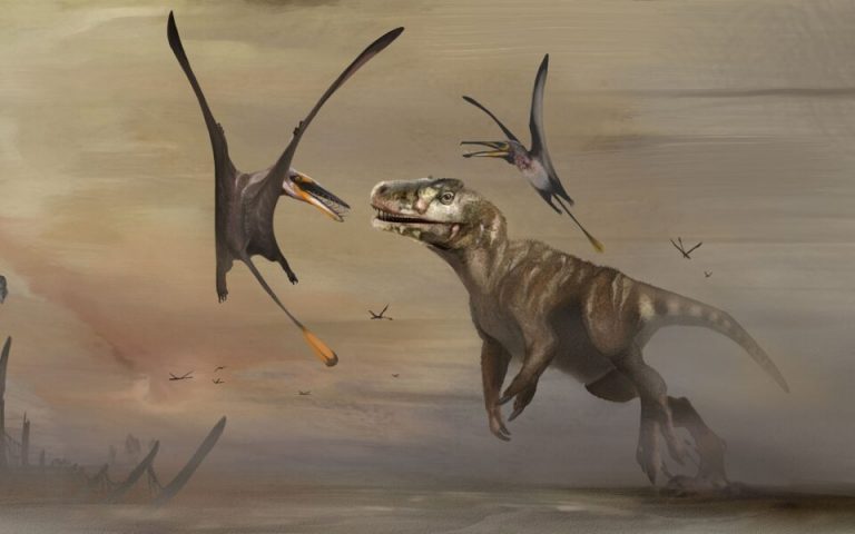 Βρέθηκε μέγας πτερόσαυρος