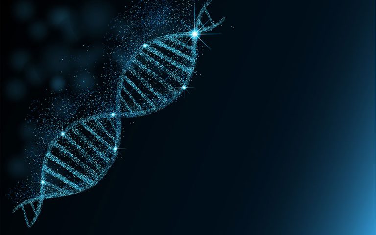 Αρχαίο DNA: Τι δείχνει για την ιστορία της Ελλάδας, της Νότιας Ευρώπης και της Ανατολίας