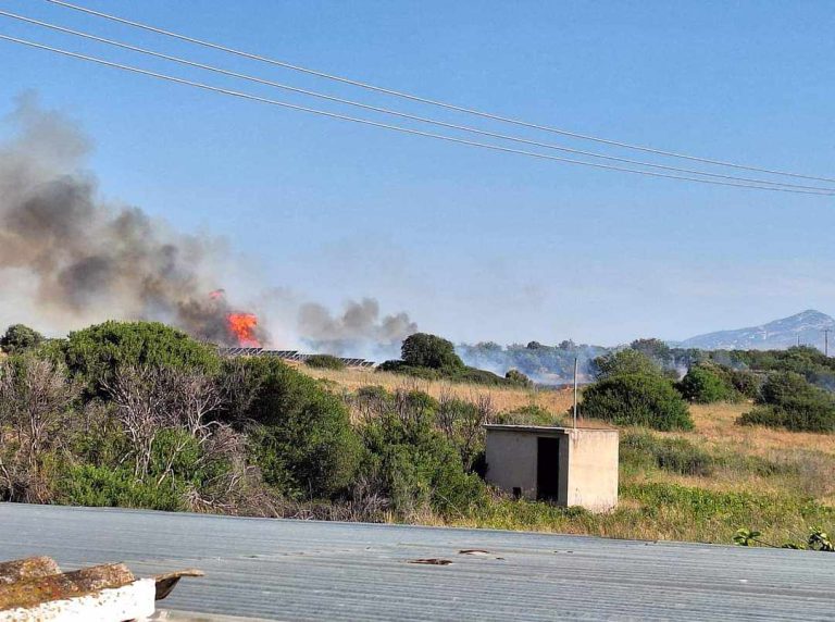 Φωτιά στο Μαρκόπουλο – Κοντά στο αεροδρόμιο οι φλόγες