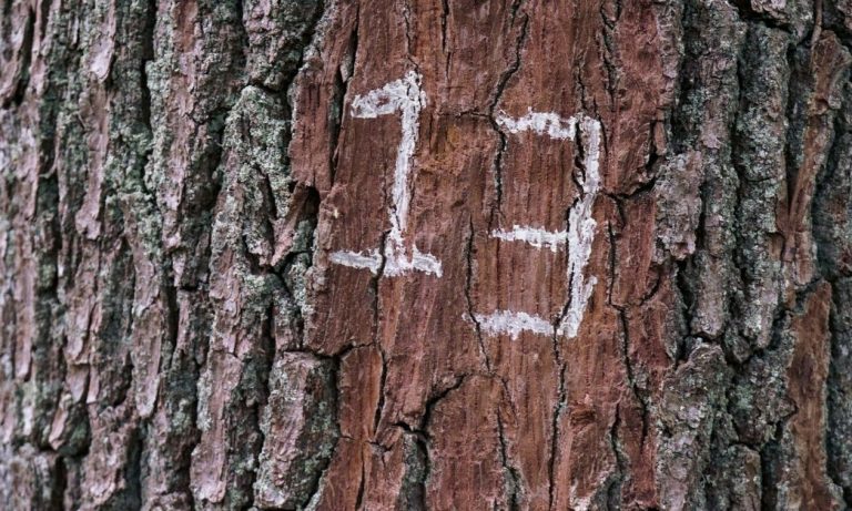 Παρασκευή και 13: Η ιστορία πίσω από την δεισιδαιμονία