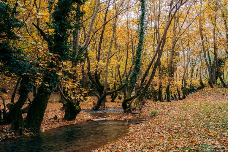 5 υπέροχες διαδρομές με αυτοκίνητο στην Πελοπόννησο, μέσα στη φύση